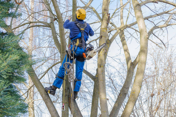 Lawn Pest Prevention in Whiteland, IN