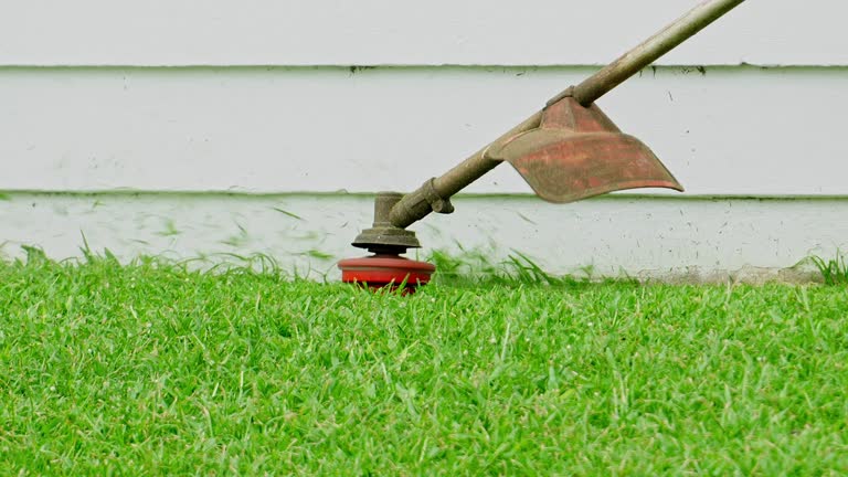 Leaf Removal in Whiteland, IN